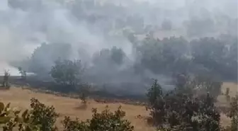Mardin Savur'da Orman Yangını Kontrol Altına Alındı