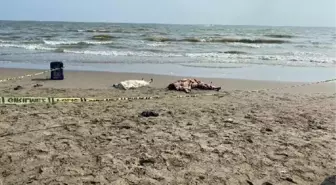 Mersin'de Denizde Boğulan Kardeşlerin Cenazesi Hatay'da Defnedildi