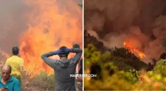 Tenerife Adası orman yangını son durum ne? İspanya'nın turistik cenneti Tenerife Adası'ndaki orman yangınları kontrolden çıktı!