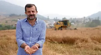 Gürsu Belediyesi Buğday Hasadından Elde Edilen Unları Vatandaşlara Ulaştıracak