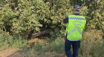 İzmir'de Otomobil Şarampole Yuvarlandı: 2 Kişi Hayatını Kaybetti