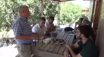 Manavgat'ta Keçiboynuzu Üretimi