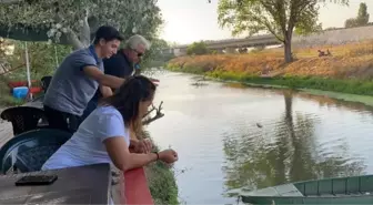 Edirne'de Tunca Nehri'ni mesken tutan su maymunları ilgi odağı oldu