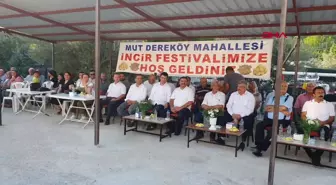 28'İNCİ DEREKÖY İNCİR ŞENLİĞİ YAPILDI