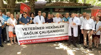 Antalya'da Veteriner Hekimler Şiddete Tepki Gösterdi