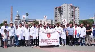 Kars VHO'dan şiddet açıklaması