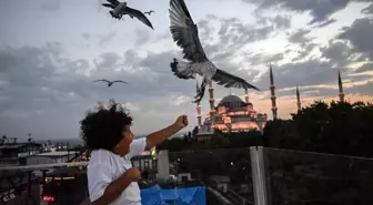 Ayasofya ve Sultanahmet Camii'nde Martıları Beslemek İçin İstanbul'a Gelen Turistler