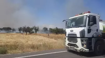 Konya'nın Hüyük ilçesinde yangında arpa tarlası ve badem ağaçları yandı