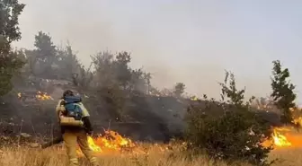 Şırnak'ta çıkan orman yangını kontrol altına alındı