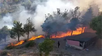 Amasya'da Harşena Kalesi Yakınındaki Ormanlık Alanda Yangın Çıktı