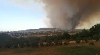 Çanakkale'deki Orman Yangınına Müdahale Devam Ediyor