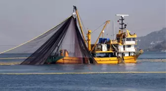 Denizlerde av yasağı 1 Eylül'de kalkıyor! Bu sene 3 balık türünde bolluk bekleniyor