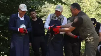 Düzce'de Ekolojik Dengenin Korunması İçin Sülünler Doğaya Bırakıldı