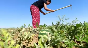 Tunceli'nin Çemişgezek ilçesinde çalışkanlık ve hamaratlıkla tıp fakültesini kazanan köy kızı