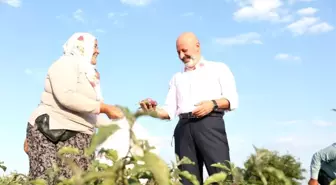 Kocasinan Belediyesi Yamula Patlıcanı Tanıtım Etkinliği