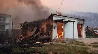 Yunanistan'da yangın Batı Trakya'da Türklerin yaşadığı köylere ulaştı