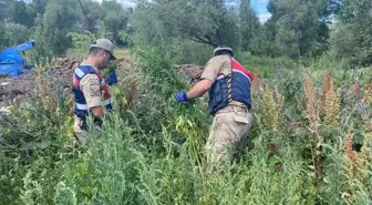 Kars'ta Uyuşturucu Operasyonunda 12 Şüpheli Gözaltına Alındı