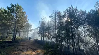 Kastamonu'da Orman Yangını Kontrol Altına Alınmaya Çalışılıyor