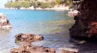 Muğla'da Kamp Yapan Yaşlı Adam Ölü Bulundu