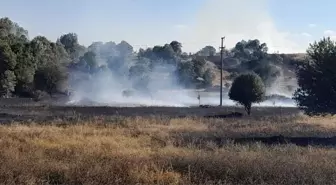 Tokat'ta çıkan yangın ormanlık alana sıçramadan söndürüldü