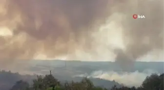 Çanakkale'deki orman yangınında alevler yeniden yükseldi