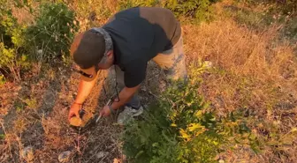 Yozgat'ta 8 milyon yıllık fosiller bulundu