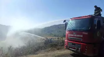 Çaycuma'da çıkan örtü altı yangını kontrol altına alındı