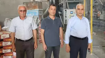 AK Parti Siirt Milletvekili Mervan Gül, yatırımcıları ziyaret etti