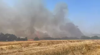 Çanakkale'nin Biga ilçesinde ağaçlık alanda çıkan yangına müdahale ediliyor