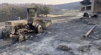 Çanakkale'deki yangın sürüyor! Alevler bir köyü tamamen küle çevirdi