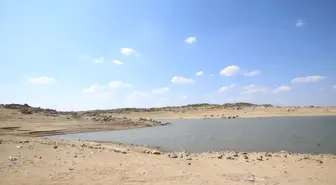 Kırklareli Kayalıköy Barajı'nda Su Seviyesi Azaldı