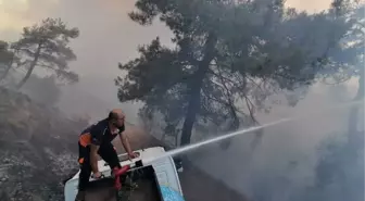 Çanakkale'deki Orman Yangınına Tuzla Belediyesi de Müdahale Ediyor