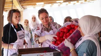 Vali Numan Hatipoğlu'nun eşi Ayfer Hatipoğlu, kadınlarla birlikte salça yaptı