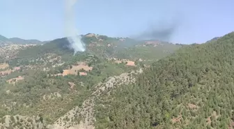 Adana'nın Feke ilçesinde orman yangını kontrol altına alınmaya çalışılıyor