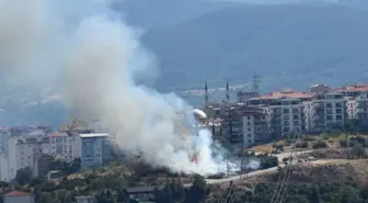 Bilecik'te makilik alanda çıkan yangın kontrol altına alındı