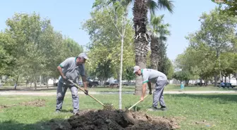 Bornova Belediyesi, Yunus Emre Mahallesi'ndeki Parkı Yeniledi