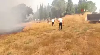 Çanakkale'de ağaçlık alanda yangın