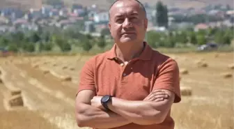 Sarı Pas Hastalığı Tarım Ürünlerinin Kalitesini Düşürdü