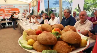 Darende'de Geleneksel Zengibar Karakucak Güreş ve Kültür Festivali Yapıldı