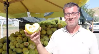 Kavun Çekirdekleri Takviye Gıda ve Kozmetik Ürünü Olarak Değerlendirilecek