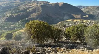 Malatya'nın Pütürge ilçesinde ormanlık alanda çıkan yangın söndürüldü