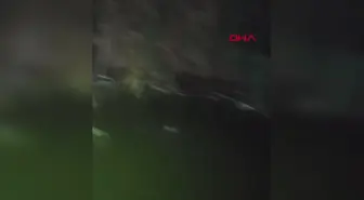 SEYHAN NEHRİ'NİN AKDENİZ'E DÖKÜLDÜĞÜ NOKTADA SU KİRLİLİĞİ ALARM VERİYOR