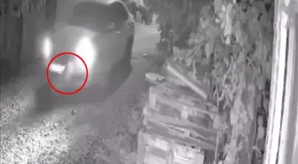 Vicdansız sürücü, köpeği ezip böyle kaçtı