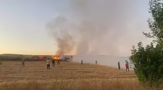 Çankırı'da çıkan yangında 300 dekar tarım arazisi zarar gördü