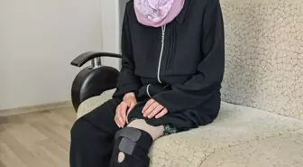 İBB'nin köpeği işçiyi ısırdı, soruşturma başlatıldı