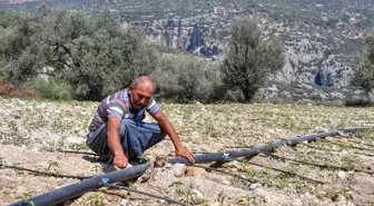 Mersin Büyükşehir Belediyesi Tarımsal Destekleriyle Zeytin Üreticisine Yardım Etti