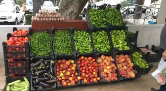 TOGÜ'de Üretilen Meyve ve Sebzeler İçin Yeni Satış Noktası Açıldı