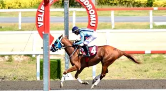 Türkiye Spor Yazarları Derneği Yarışını Kapriz Kazandı