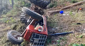 Orman kesimi sırasında traktör devrildi, işçi hayatını kaybetti