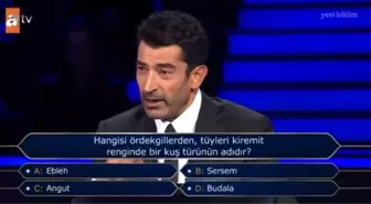 'Hangisi ördekgillerden, tüyleri kiremit renginde bir kuş türüdür? Kim Milyoner Olmak İster 29 Ağustos Sorusu Cevabı Nedir? 200 Bin TL'lik soru ve cev